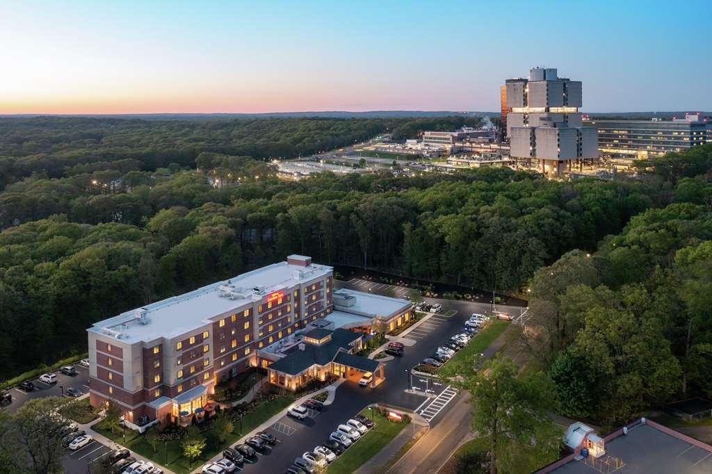Hilton Garden Inn Tampa East Brandon Mango Bagian luar foto
