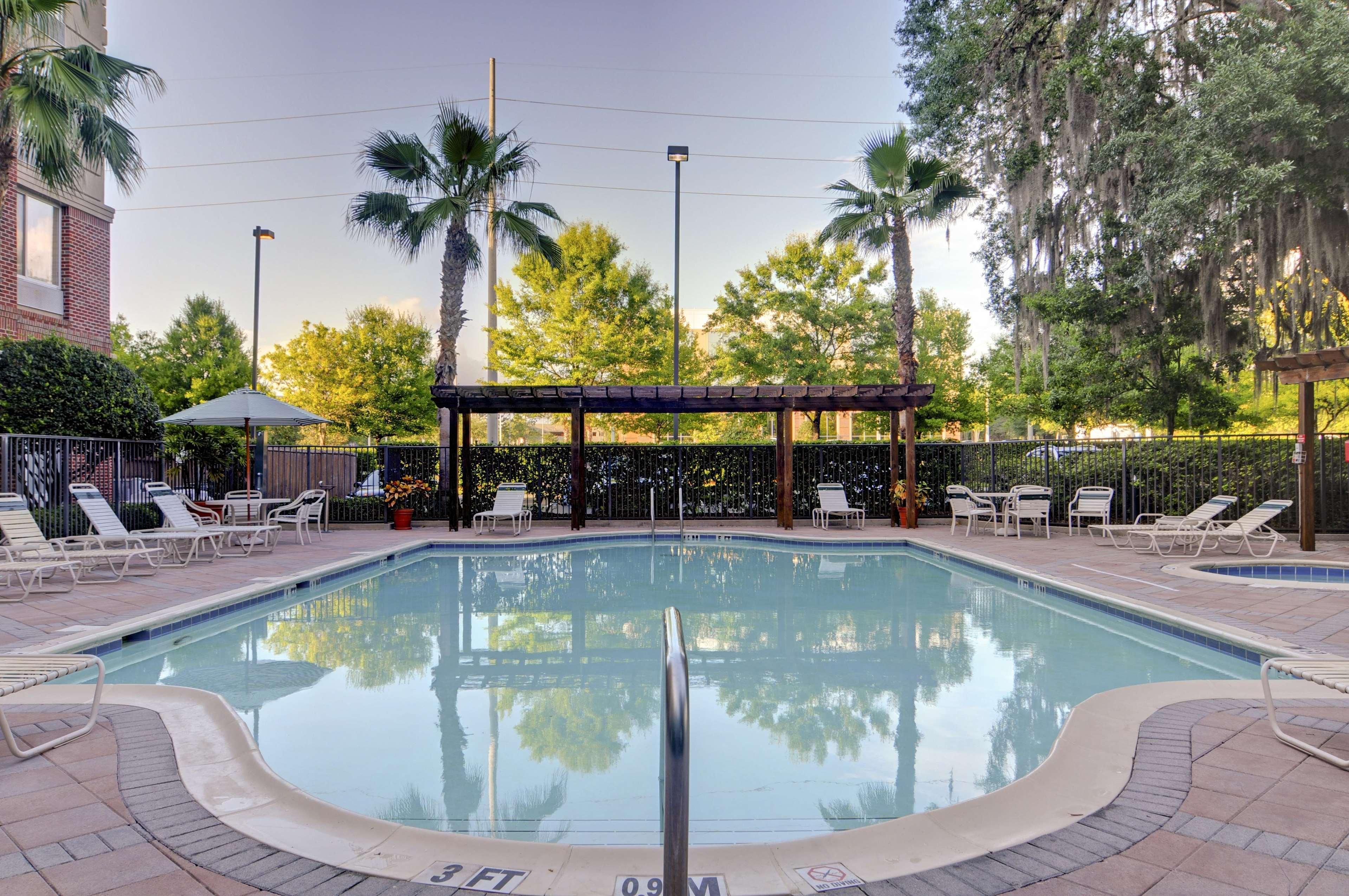 Hilton Garden Inn Tampa East Brandon Mango Bagian luar foto